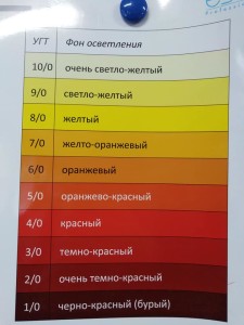 73390755_732106550640420_4761699979012079616_n
